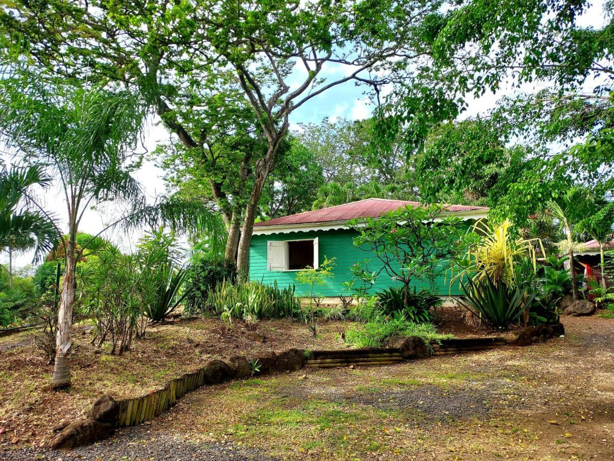 Bungalow Du Jardin Botanique De ديساي المظهر الخارجي الصورة