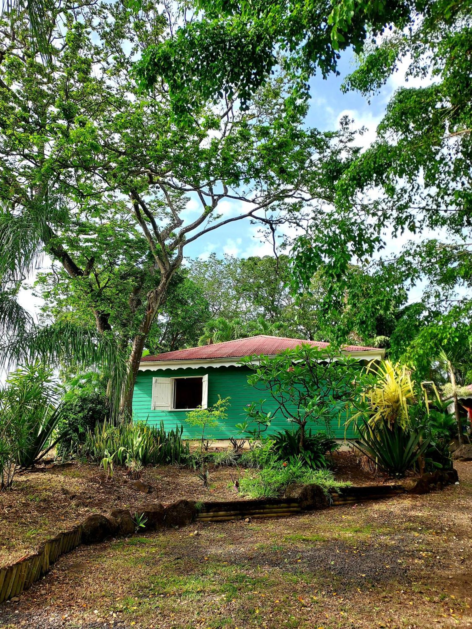 Bungalow Du Jardin Botanique De ديساي الغرفة الصورة